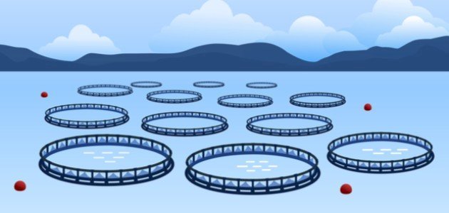 Fish Farming Project (Ghalion Pond)