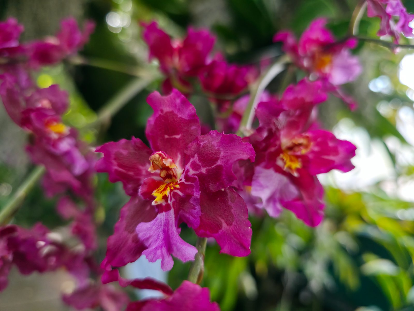 Samsung Galaxy S25 Ultra camera samples