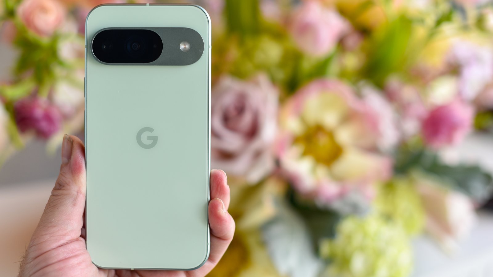 Google Pixel 9 في Wintergreen