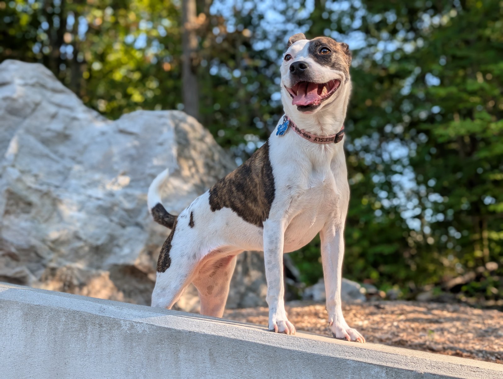 Camera image samples taken with the Google Pixel 10 Pro and Pixel 10 Pro XL