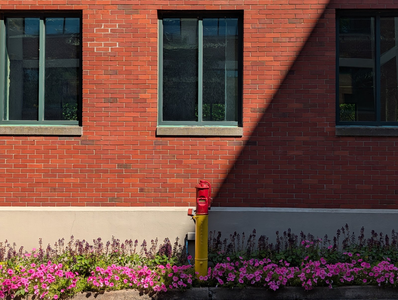 Camera image samples taken with the Google Pixel 10 Pro and Pixel 10 Pro XL